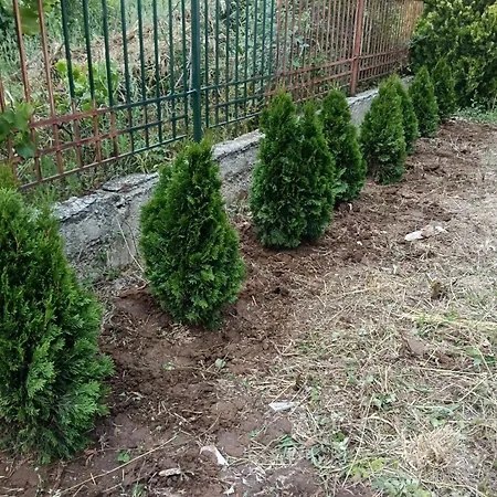 смокиня Dom wakacyjny Sozopol
